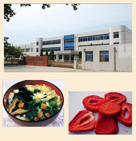 公司簡介