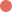 img img