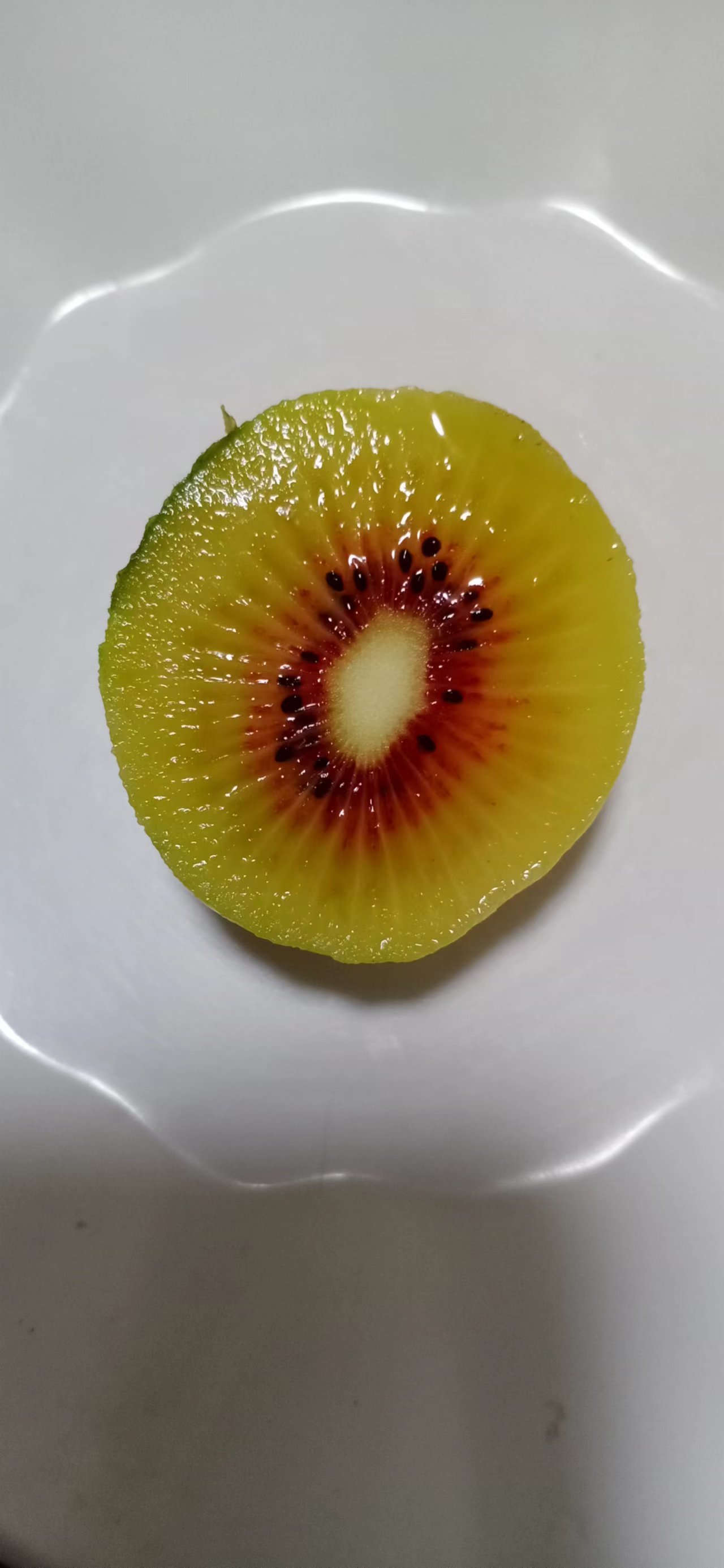 红心弥猴桃 红心弥猴桃