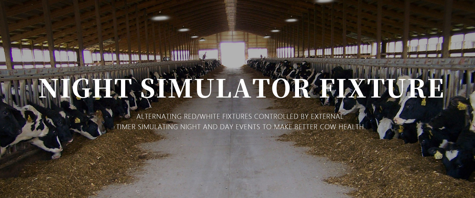 NIGIT SIMULATOR FIXTURE