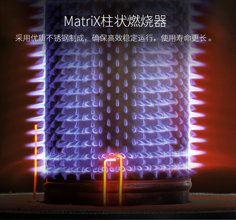 菲斯曼（Viessmann）冷凝采暖壁掛爐B1JE兩用爐（采暖+生活用水）