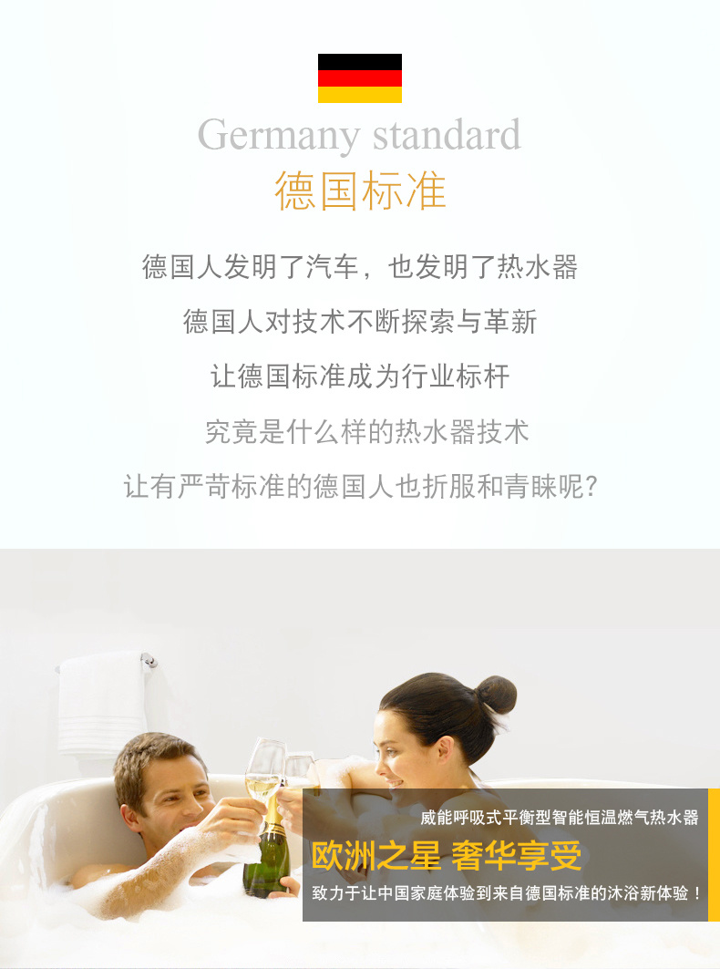 德國威能14升MAG-14MH歐版壁掛爐CPU