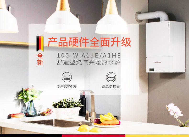 菲斯曼（Viessmann）壁掛爐A1JD系統(tǒng)爐