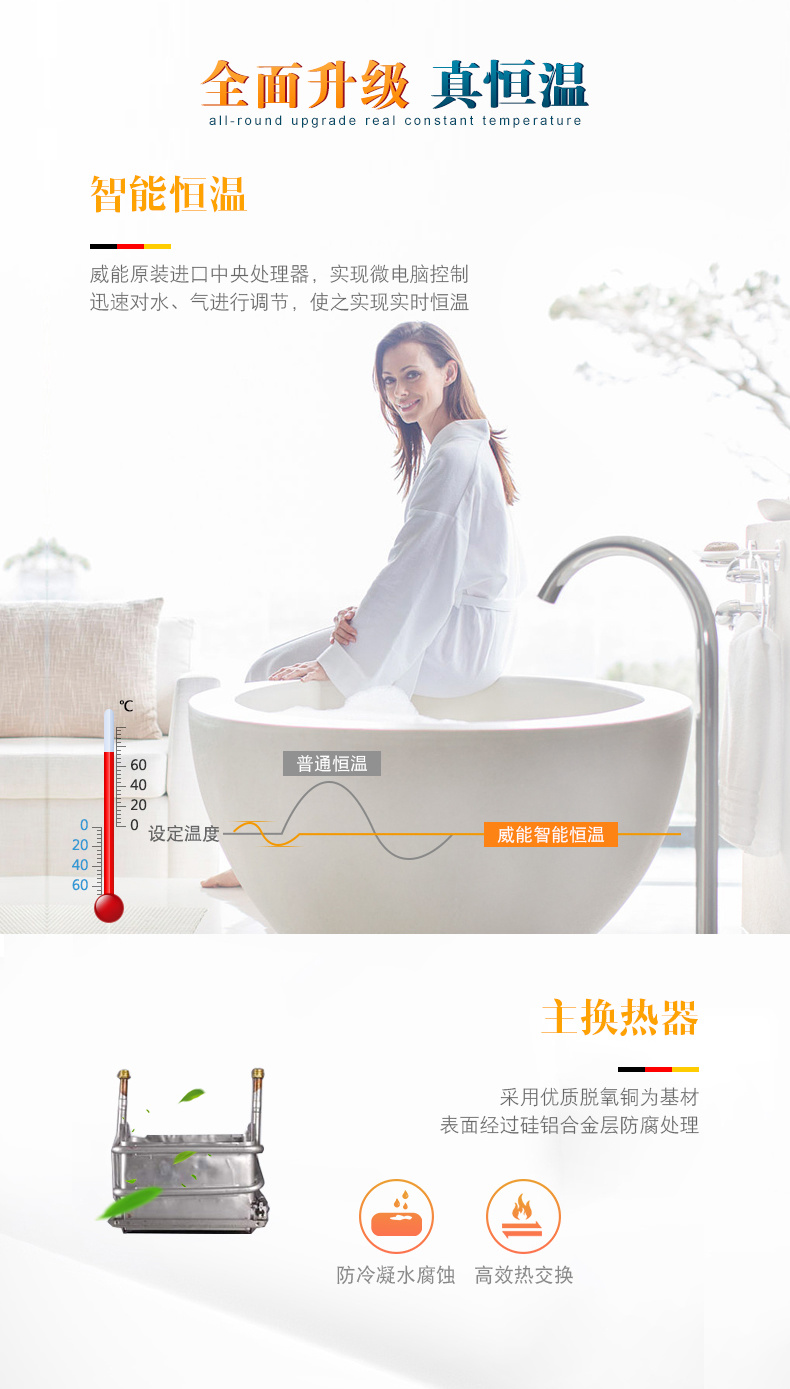 德國威能14升MAG-14MH歐版壁掛爐CPU