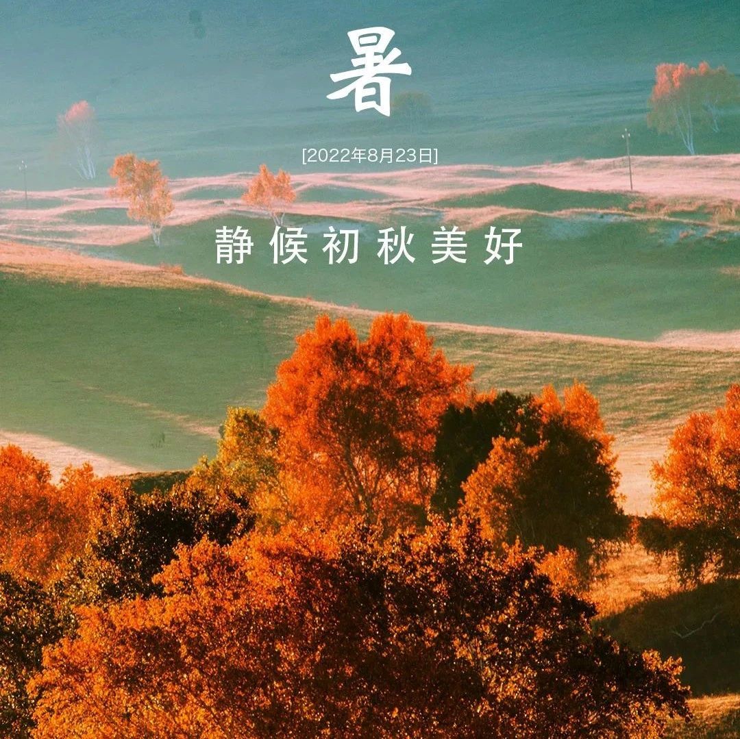 处暑丨离离暑云去,袅袅凉风起​