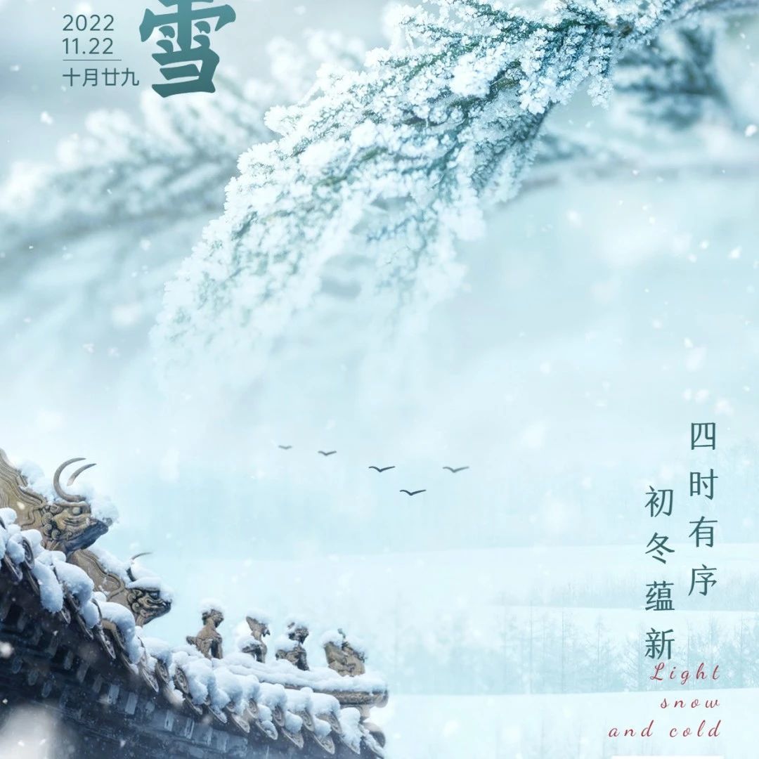 小雪丨四时有序,初冬蕴新​