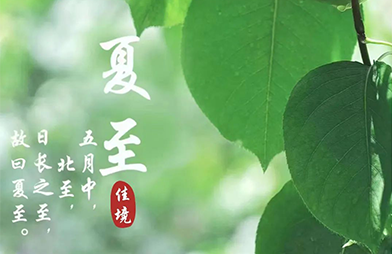 夏至 | 蝉始鸣，半夏生，万物繁茂时