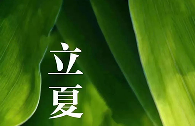 立夏 | 首夏犹清和，芳草亦未歇