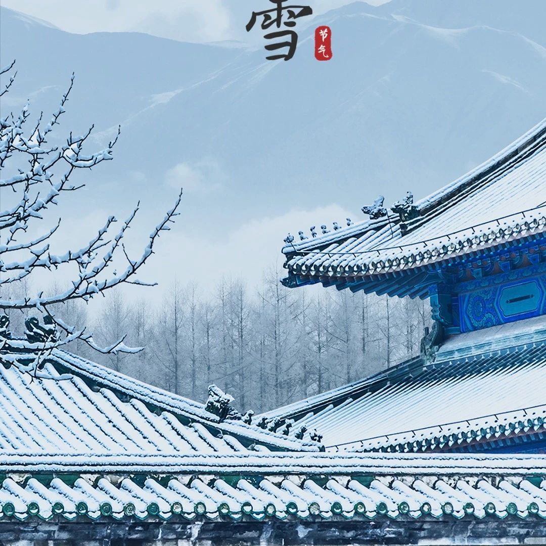 大雪 | 此间大雪节、花放小桃枝