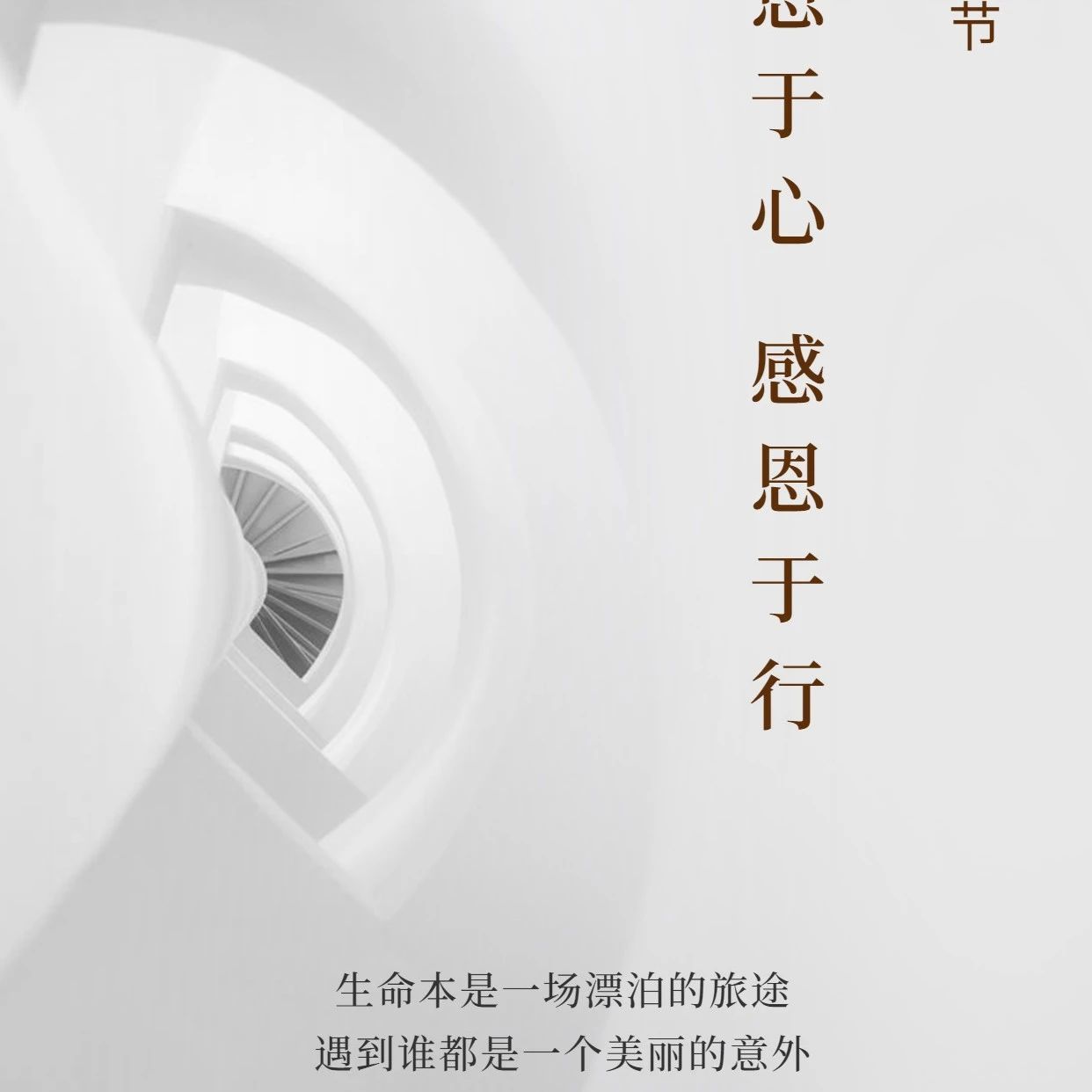 感恩 | 这一场盛大的遇见​