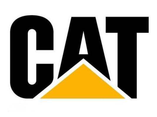 CATERPILLAR PISTON