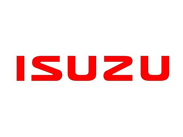 ISUZU Engine Bearing