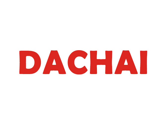 DACHAI Engine Bearing