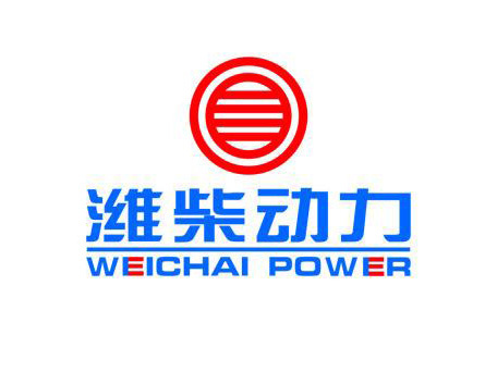 WEICHAI PISTON