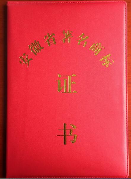企业品牌战略之路