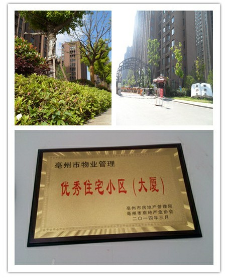 居住城市之中 亲临园林之美
