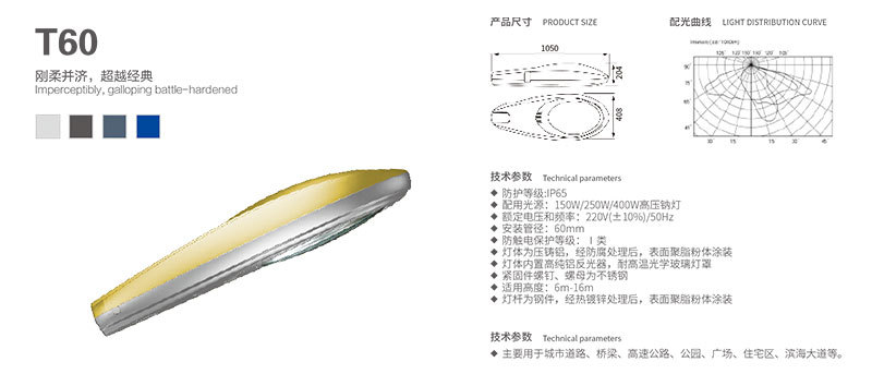 道路照明T60