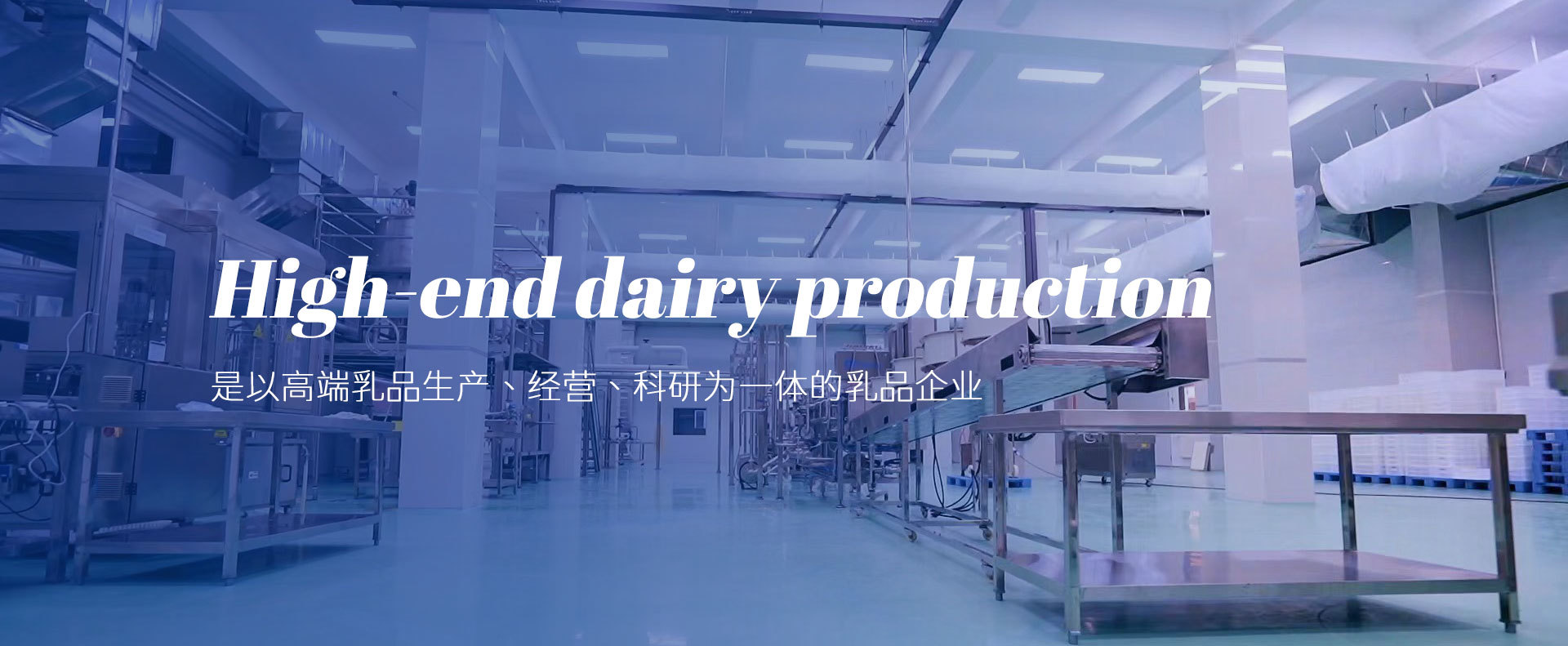高端乳品生产
