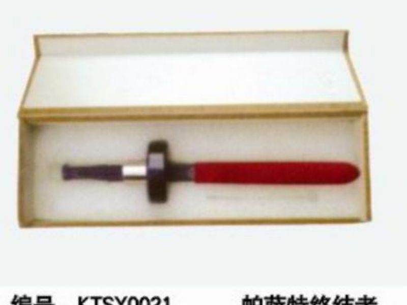 帕薩特終結者