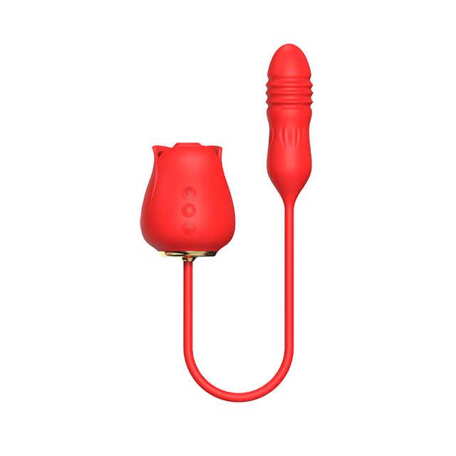 Paula T rose suction and thruster egg