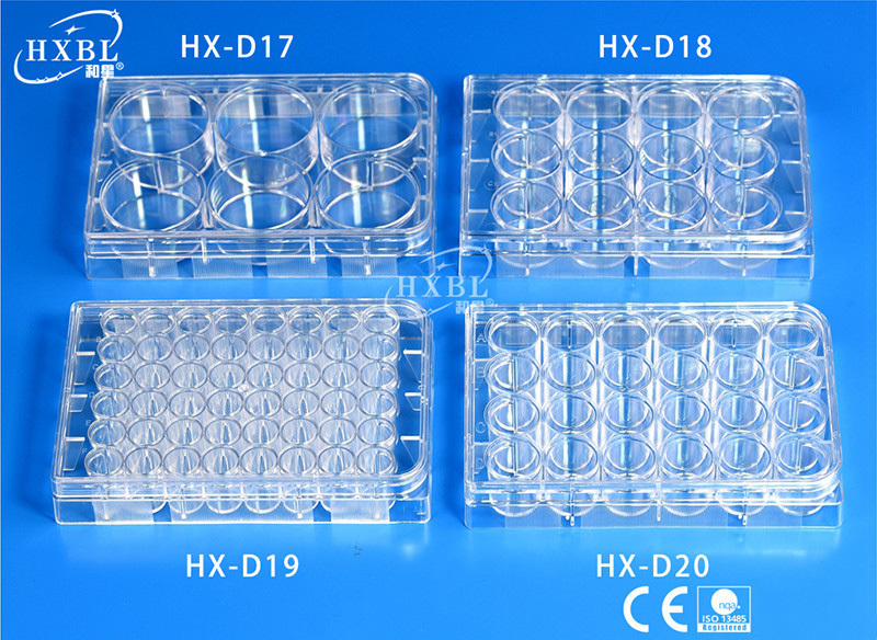cell culture plate