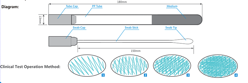 Transport Swab with Medium