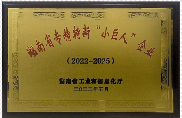 专精特新小巨人