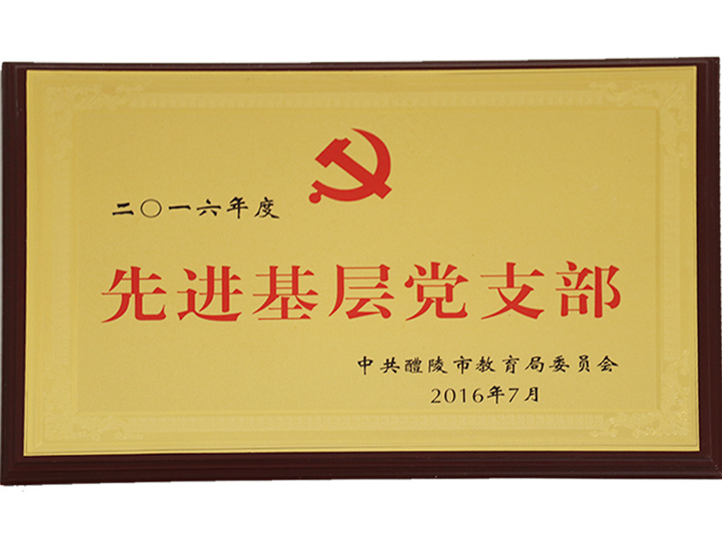 先进基层党支部