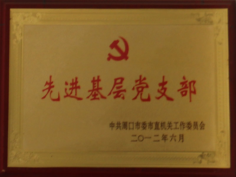 Advanced grassroots party branch Advanced grassroots party branch