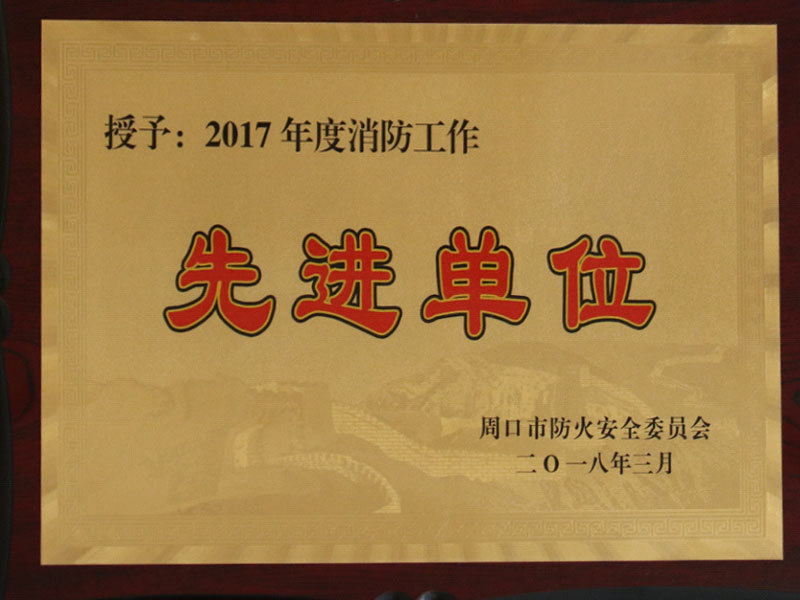 Advanced unit of fire protection work in 2017 Advanced unit of fire protection work in 2017