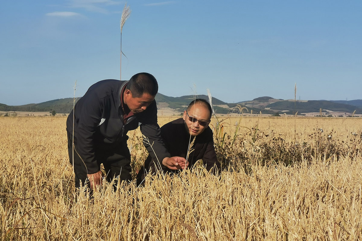 質量調研