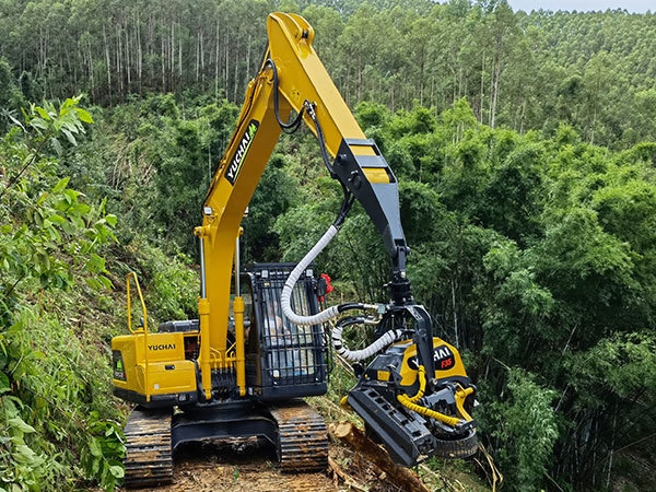 Tree Harvester