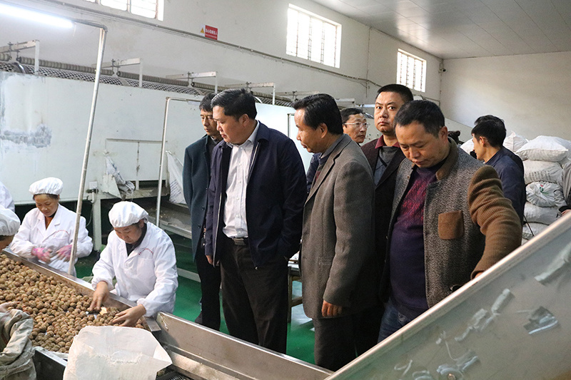 赵子杰副市长到临沧工投顺宁坚果开发有限公司生产车间及仓库调研指导工作。