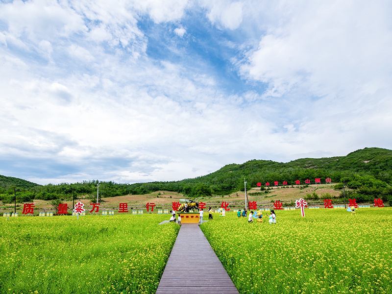 示范基地