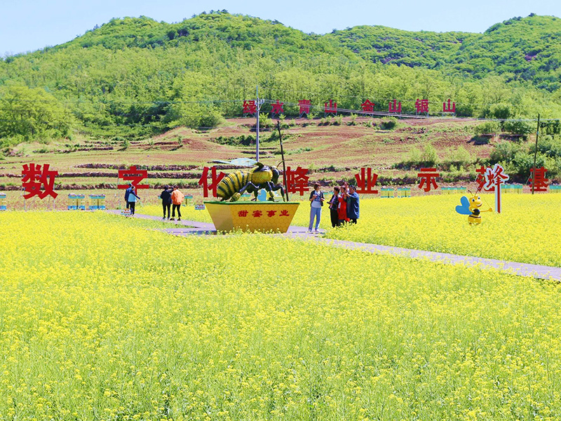 示范基地