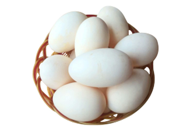 新鮮雞蛋 農家土雞蛋 草雞蛋笨雞蛋 10枚裝
