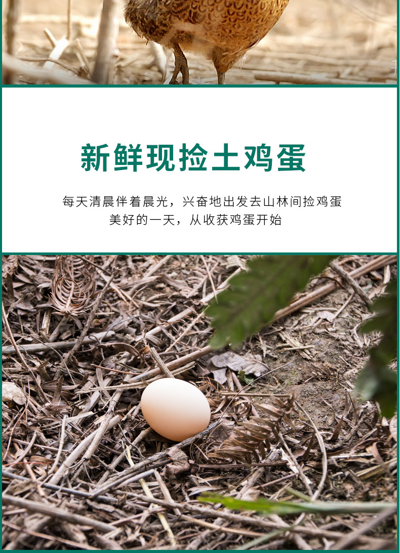 貴州黔東南榕江沉香雞蛋散養土雞蛋30個禮盒裝 鮮雞蛋30個一版