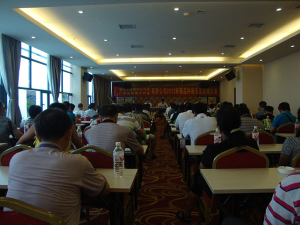 Guilin Observation Fair in Guangxi