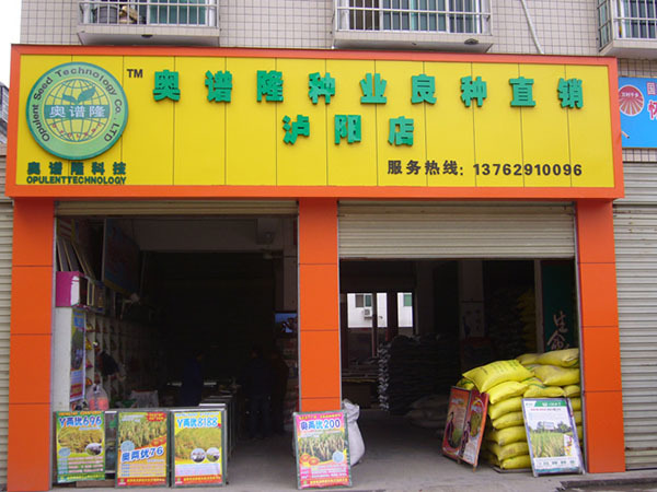 Luyang Store