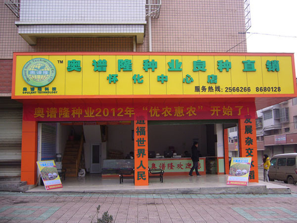 Huaihua Central Store