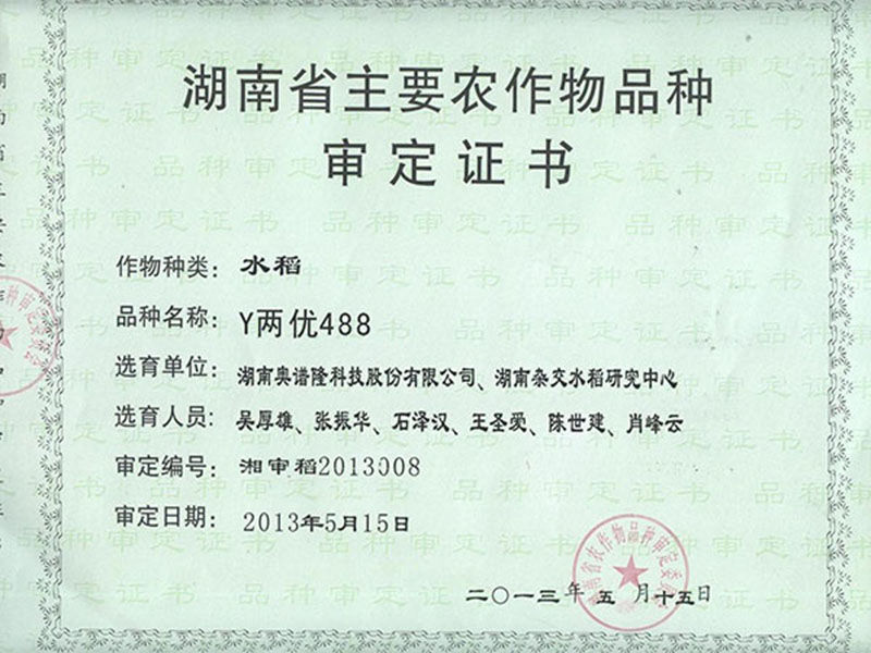 Y Liangyou 488 Approval Certificate