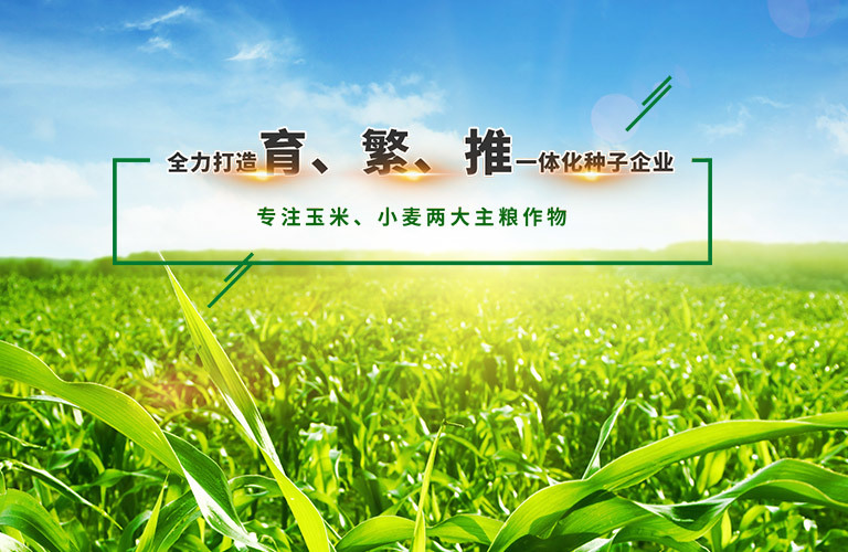 怀川种业