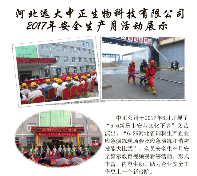 河北远大中正生物科技有限公司