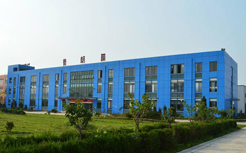 PLUM company was established PLUM company was established