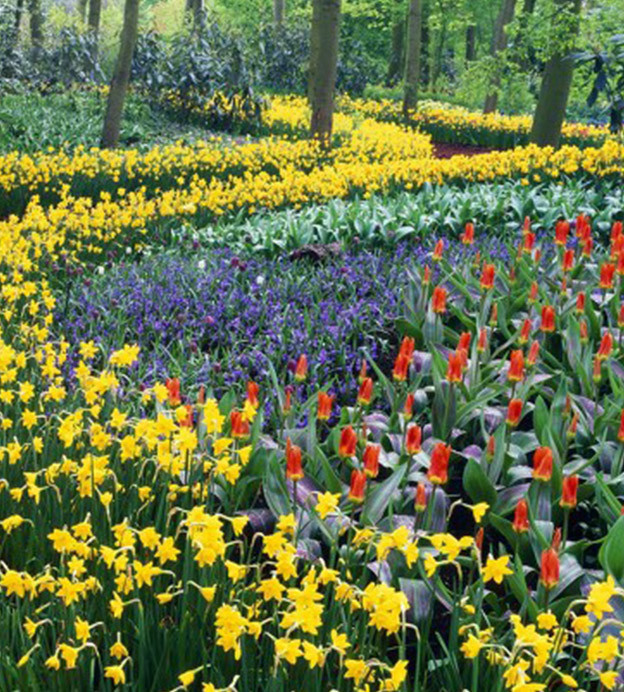 50 Stunning Garden Edging Ideas for Your Garden
