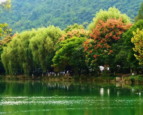 工程案例