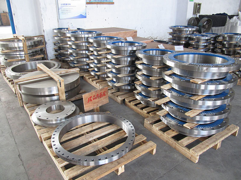 Ti Flanges
