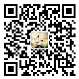 13937151930