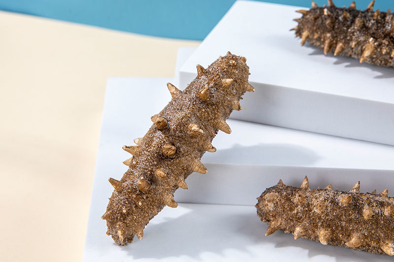 GaoLiZi Sea Cucumber