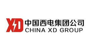 China XD Corporation